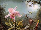 Martin Johnson Heade Cattelya Orchid and Three Brazilian Hummingbirds painting